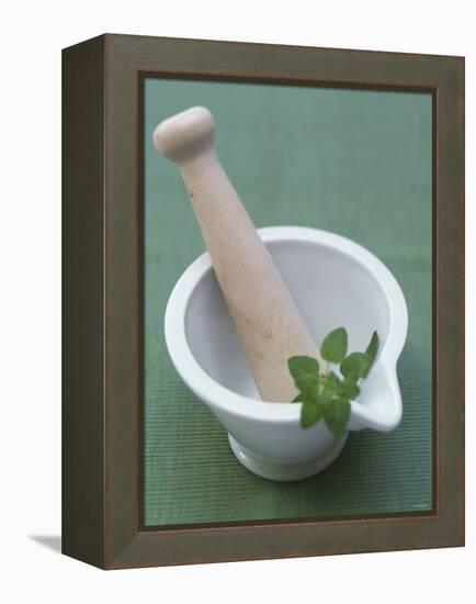 Mortar and Pestle with Thai Basil-Peter Medilek-Framed Premier Image Canvas