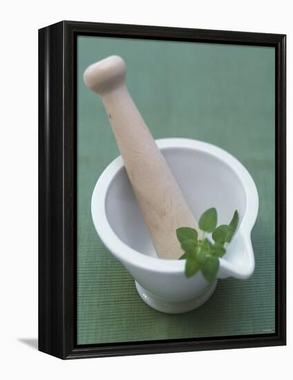 Mortar and Pestle with Thai Basil-Peter Medilek-Framed Premier Image Canvas