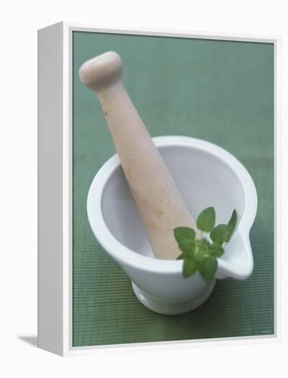 Mortar and Pestle with Thai Basil-Peter Medilek-Framed Premier Image Canvas