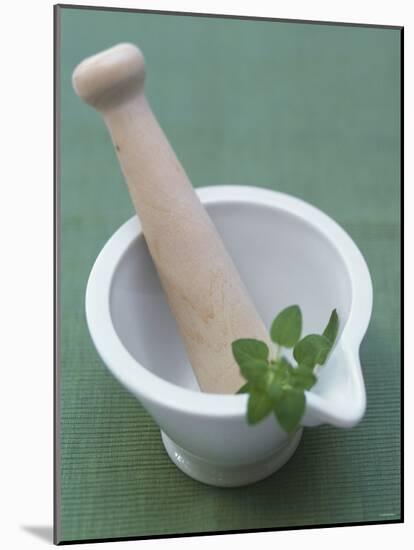 Mortar and Pestle with Thai Basil-Peter Medilek-Mounted Photographic Print