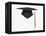 Mortarboard-Lew Robertson-Framed Premier Image Canvas