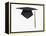 Mortarboard-Lew Robertson-Framed Premier Image Canvas