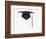 Mortarboard-Lew Robertson-Framed Photographic Print