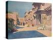 Stretched Canvas Print