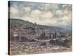 Stretched Canvas Print