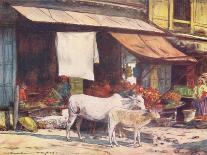 'A Bullock-cart, Ajmere', 1905-Mortimer Luddington Menpes-Giclee Print