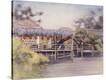 Stretched Canvas Print