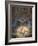 Mosaic by Antoine Molkenboer Showing God, the Holy Spirit and Jesus, Annecy, Haute Savoie-Godong-Framed Photographic Print