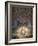 Mosaic by Antoine Molkenboer Showing God, the Holy Spirit and Jesus, Annecy, Haute Savoie-Godong-Framed Photographic Print