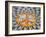 Mosaic Commemorting John Lennon, Strawberry Fields, Central Park, Manhattan, New York City, USA-Jon Arnold-Framed Photographic Print