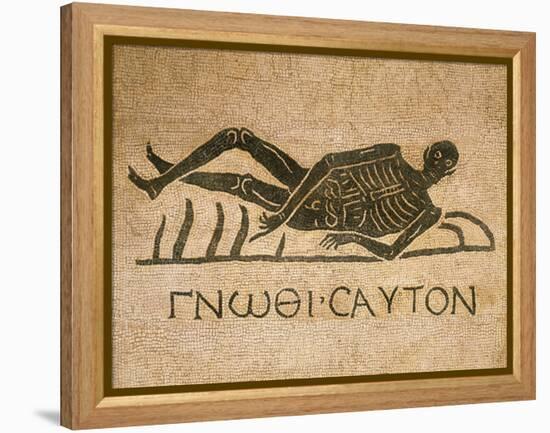 Mosaic Depicting Human Skeleton with Inscription Know Thyself-null-Framed Premier Image Canvas