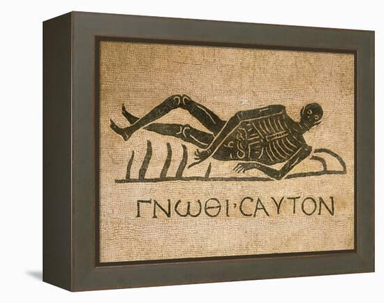 Mosaic Depicting Human Skeleton with Inscription Know Thyself-null-Framed Premier Image Canvas