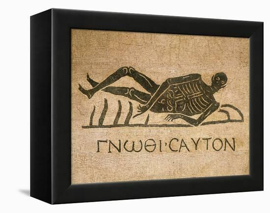 Mosaic Depicting Human Skeleton with Inscription Know Thyself-null-Framed Premier Image Canvas