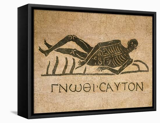 Mosaic Depicting Human Skeleton with Inscription Know Thyself-null-Framed Premier Image Canvas