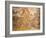 Mosaic Depicting Nereid Sitting on Sea Monster Surrounded by Cherubs-null-Framed Giclee Print