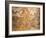 Mosaic Depicting Nereid Sitting on Sea Monster Surrounded by Cherubs-null-Framed Giclee Print