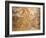 Mosaic Depicting Nereid Sitting on Sea Monster Surrounded by Cherubs-null-Framed Giclee Print