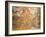Mosaic Depicting Nereid Sitting on Sea Monster Surrounded by Cherubs-null-Framed Giclee Print