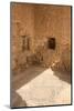 Mosaic Floor, Byzantine Church, Hill Top Palace Complex, Masada Fortress, Israel, Middle East-Eleanor Scriven-Mounted Photographic Print
