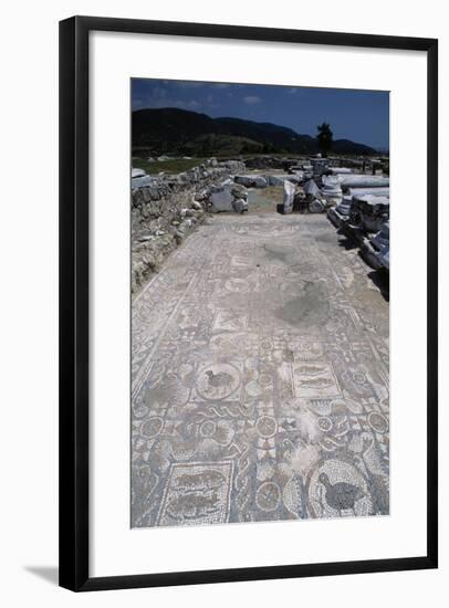 Mosaic Floor in the Basilica of Amphipolis, Greece-null-Framed Giclee Print