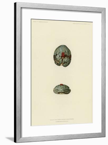 Mosaic Frog from Chaves Pass, Arizona-null-Framed Giclee Print