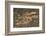 Mosaic Octopus-Hal Beral-Framed Photographic Print