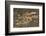 Mosaic Octopus-Hal Beral-Framed Photographic Print