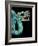 Mosaic of a Double-Headed Serpent (Detail of Head)-null-Framed Art Print