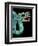 Mosaic of a Double-Headed Serpent (Detail of Head)-null-Framed Art Print