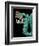 Mosaic of a Double-Headed Serpent (Detail of Head)-null-Framed Premium Giclee Print