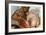 Mosaic of a Satyr and Nymph, House of Faun, Pompeii, Italy-null-Framed Giclee Print