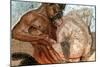 Mosaic of a Satyr and Nymph, House of Faun, Pompeii, Italy-null-Mounted Giclee Print