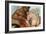 Mosaic of a Satyr and Nymph, House of Faun, Pompeii, Italy-null-Framed Giclee Print