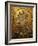 Mosaic of Empress Zoe, Hagia Sophia, Istanbul, Turkey, Europe-Godong-Framed Photographic Print