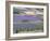 Mosaic of Fields of Lavander Flowers Ready for Harvest, Sault, Provence, France, June 2004-Inaki Relanzon-Framed Photographic Print