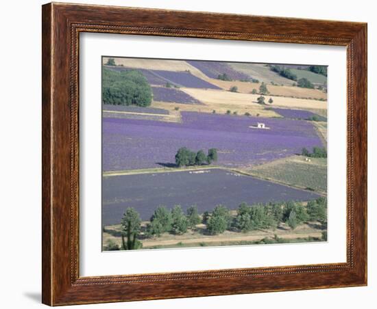 Mosaic of Fields of Lavander Flowers Ready for Harvest, Sault, Provence, France, June 2004-Inaki Relanzon-Framed Photographic Print