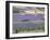 Mosaic of Fields of Lavander Flowers Ready for Harvest, Sault, Provence, France, June 2004-Inaki Relanzon-Framed Photographic Print