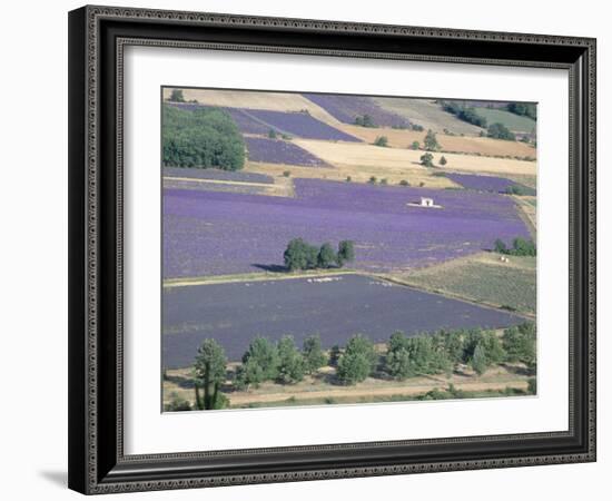 Mosaic of Fields of Lavander Flowers Ready for Harvest, Sault, Provence, France, June 2004-Inaki Relanzon-Framed Photographic Print