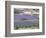 Mosaic of Fields of Lavander Flowers Ready for Harvest, Sault, Provence, France, June 2004-Inaki Relanzon-Framed Photographic Print