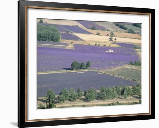 Mosaic of Fields of Lavander Flowers Ready for Harvest, Sault, Provence, France, June 2004-Inaki Relanzon-Framed Photographic Print