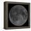 Mosaic of the Lunar Nearside-Stocktrek Images-Framed Premier Image Canvas