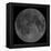 Mosaic of the Lunar Nearside-Stocktrek Images-Framed Premier Image Canvas