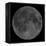 Mosaic of the Lunar Nearside-Stocktrek Images-Framed Premier Image Canvas