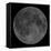 Mosaic of the Lunar Nearside-Stocktrek Images-Framed Premier Image Canvas