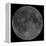 Mosaic of the Lunar Nearside-Stocktrek Images-Framed Premier Image Canvas