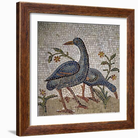 Mosaic of Water Birds Uncovered in Trier, Germany-null-Framed Giclee Print
