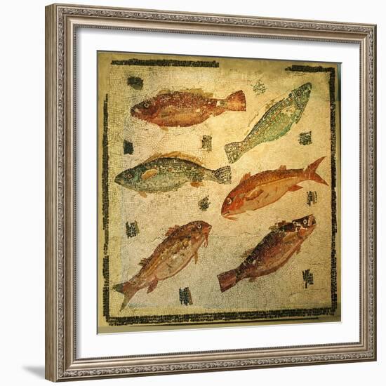 Mosaic pavement depicting fish. Culture: Roman. Period/ Date: 3rd C AD-Werner Forman-Framed Giclee Print