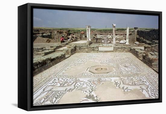 Mosaic, Ruins of the Roman Town of Stobi, Gradsko, Macedonia-Vivienne Sharp-Framed Premier Image Canvas