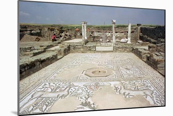 Mosaic, Ruins of the Roman Town of Stobi, Gradsko, Macedonia-Vivienne Sharp-Mounted Photographic Print