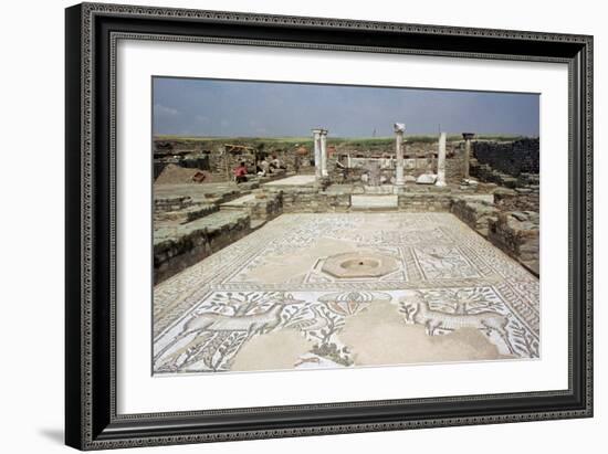 Mosaic, Ruins of the Roman Town of Stobi, Gradsko, Macedonia-Vivienne Sharp-Framed Photographic Print